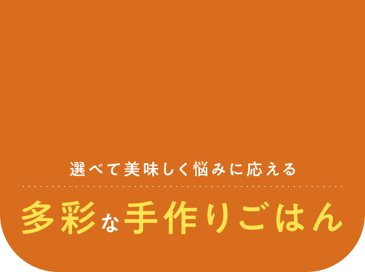 多彩な手作りごはん