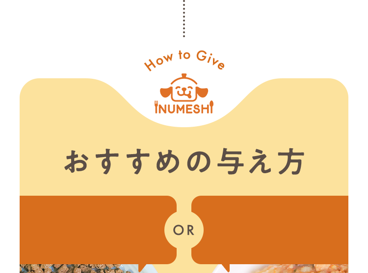 おすすめの与え方