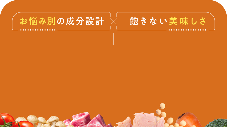 お悩み別の成分設計