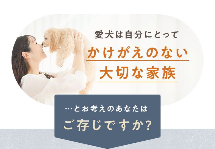 かけがえのない大切な家族