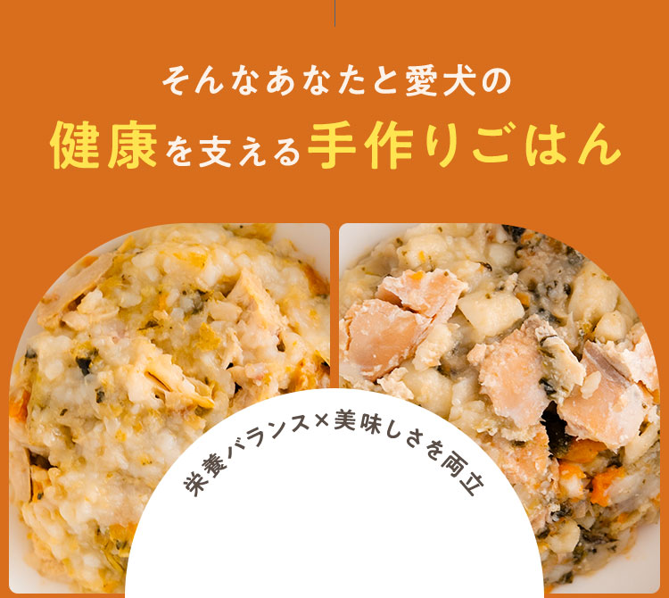 そんなあなたと愛犬の健康を支える手作りごはん