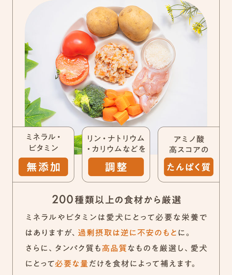 200種類以上の食材から厳選