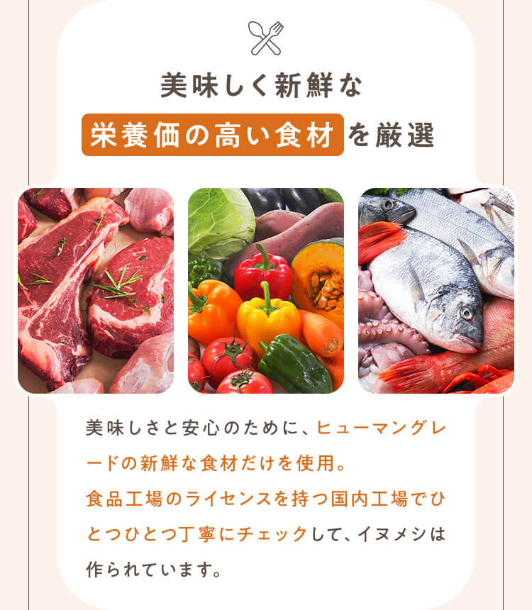 美味しく新鮮な栄養価の高い食材を厳選