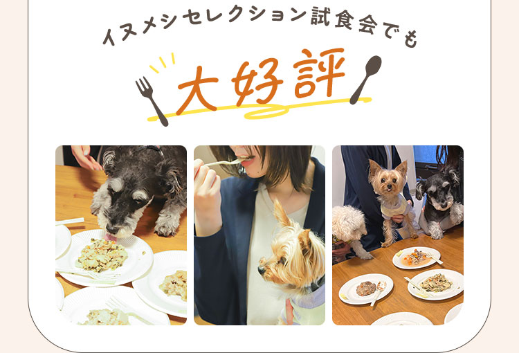 イヌメシセレクション試食会でも大好評