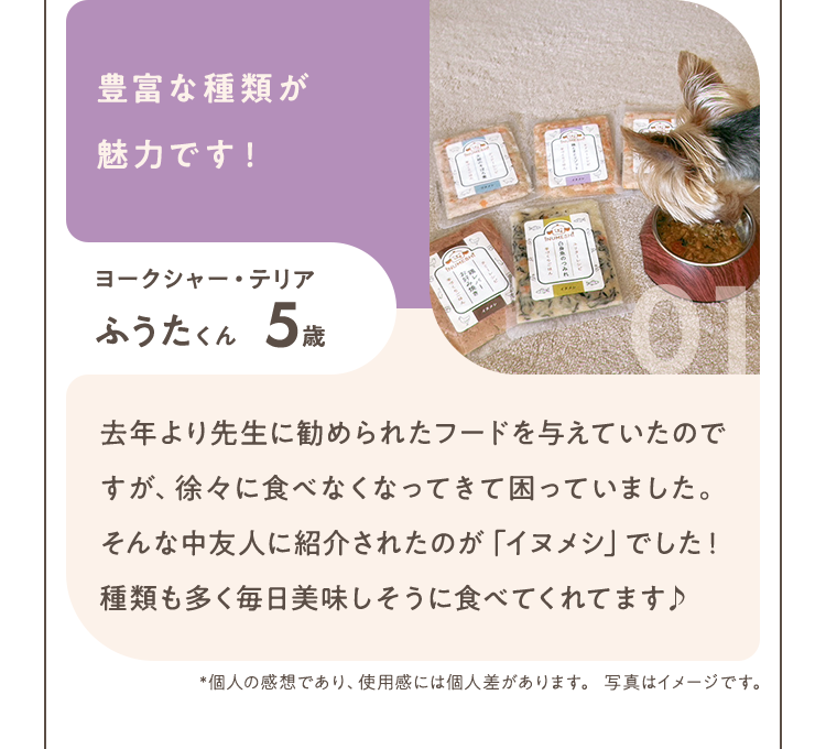 豊富な種類が魅力です！ 