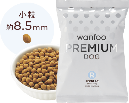 プレミアムお試しレギュラー 小粒 600g(200g×3袋)