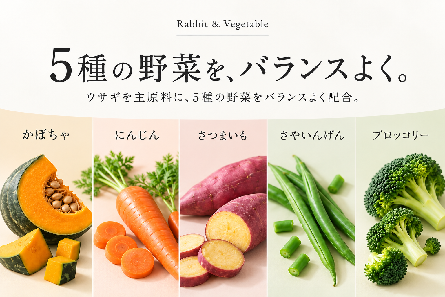 Rabbit & Vegetable 5種の野菜をバランスよく