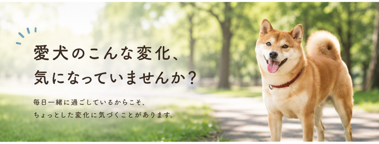 Shi-Ba夏号掲載イメージ