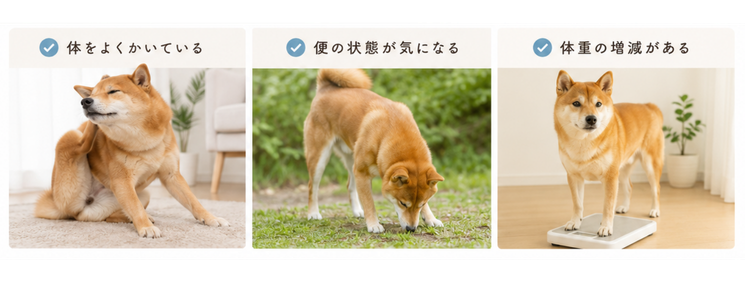 愛犬の健康管理イメージ