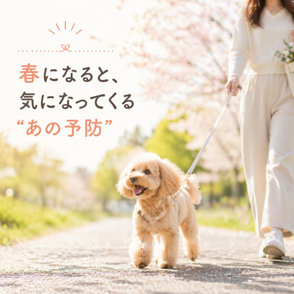 春の草花の中でくつろぐ犬