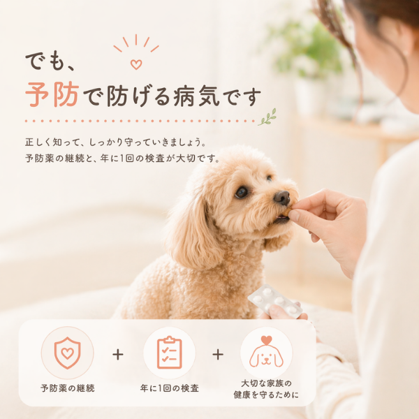 犬のフィラリア予防薬イメージ