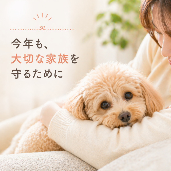 動物病院での診察・検査イメージ