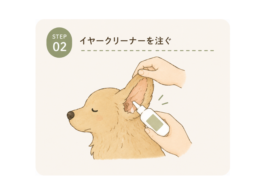 STEP02 イヤークリーナーを注ぐ