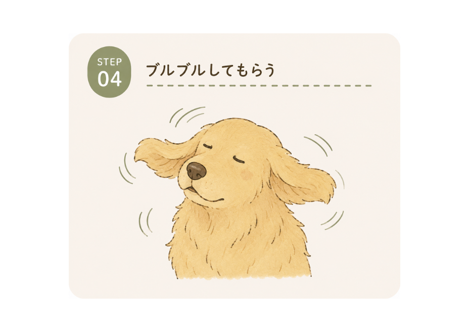 STEP04 ブルブルしてもらう