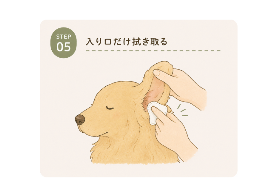 STEP05 入り口だけ拭き取る