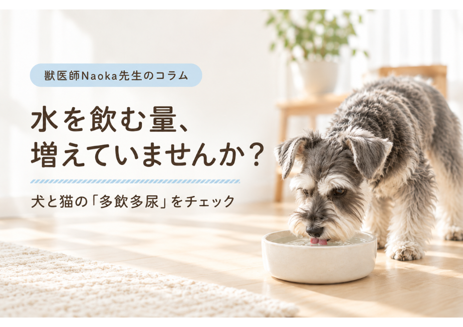 水を飲む量、増えていませんか？ 犬と猫の多飲多尿をチェック
