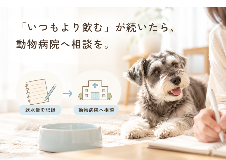 飲水量を記録して、いつもより飲む状態が続いたら動物病院へ相談を