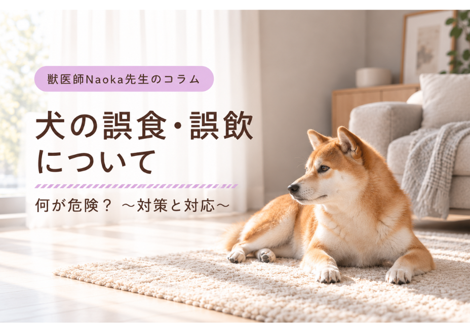 犬の誤食・誤飲について 何が危険？～対策と対応～