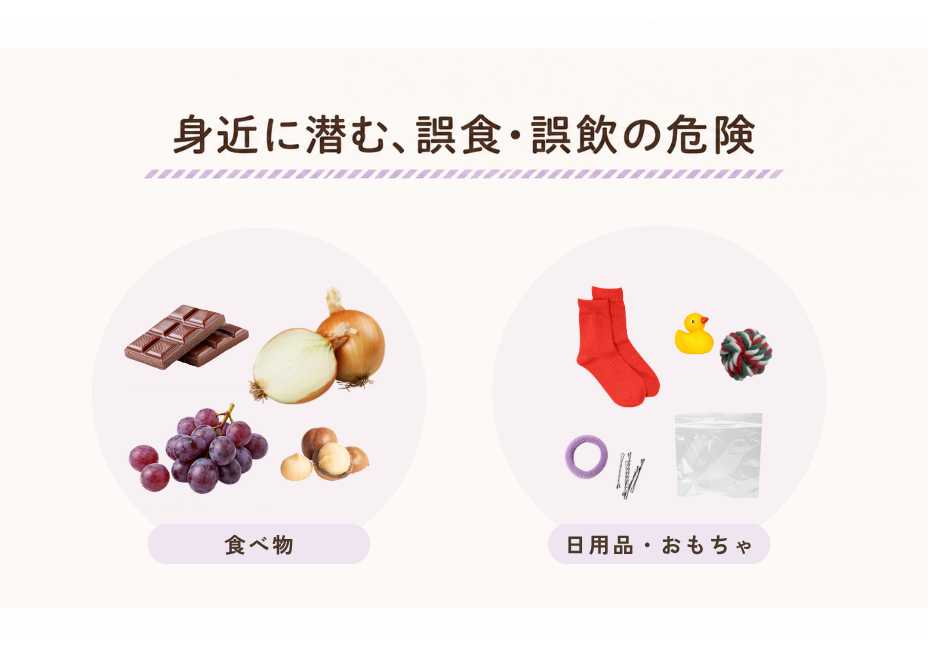 身近に潜む誤食・誤飲の危険 食べ物と日用品・おもちゃ
