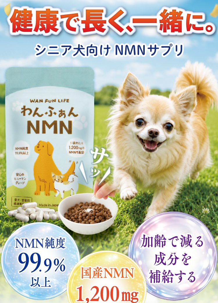 健康で長く一緒に健康長寿