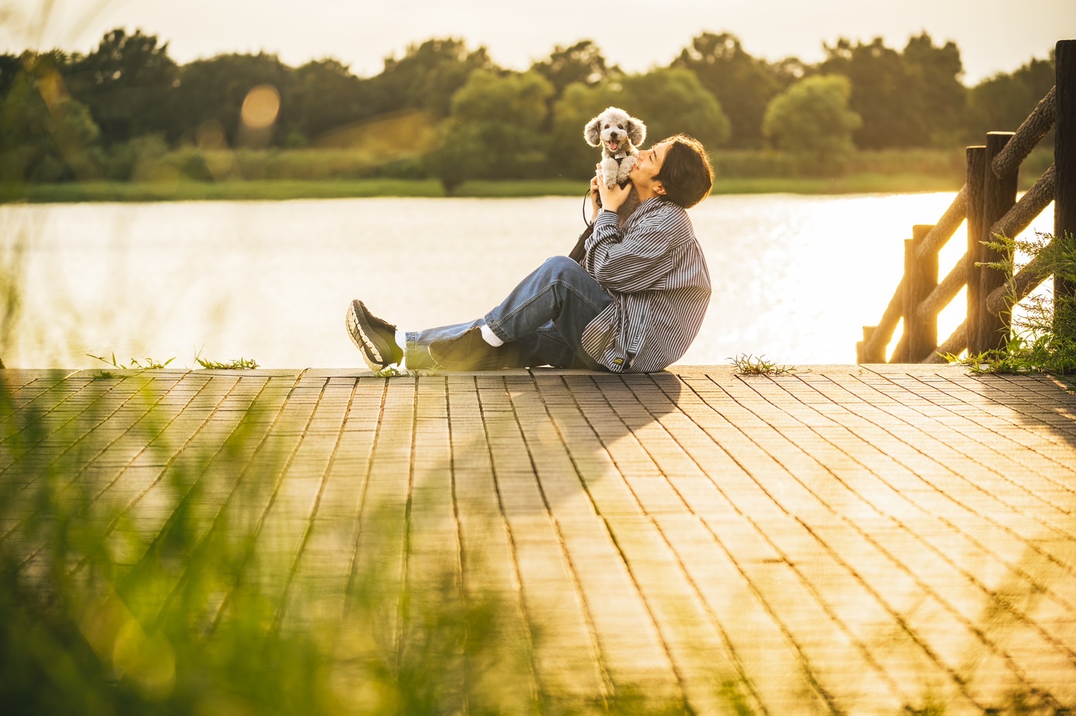 愛犬とのライフスタイル