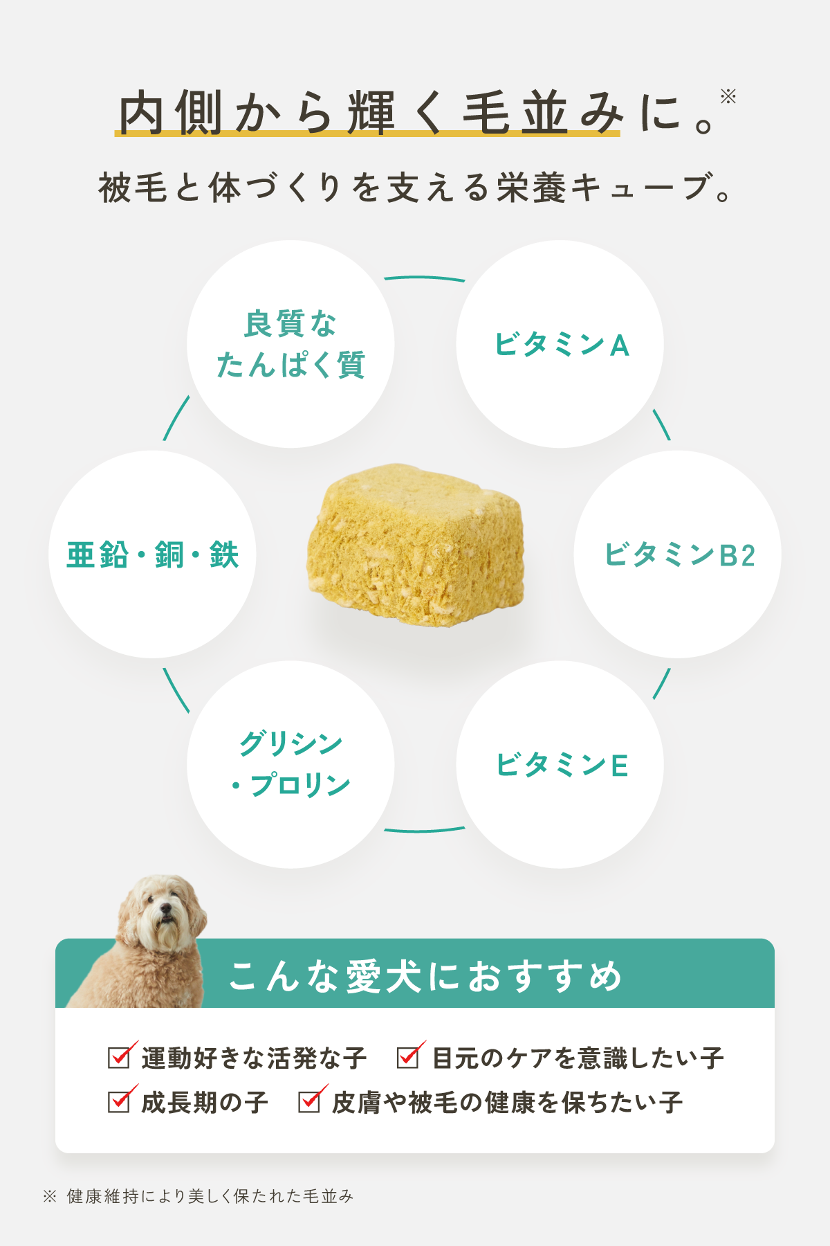 WanSoup SUNNY チキン味（愛犬の毛並みやカラダづくりに）｜Wan Soup