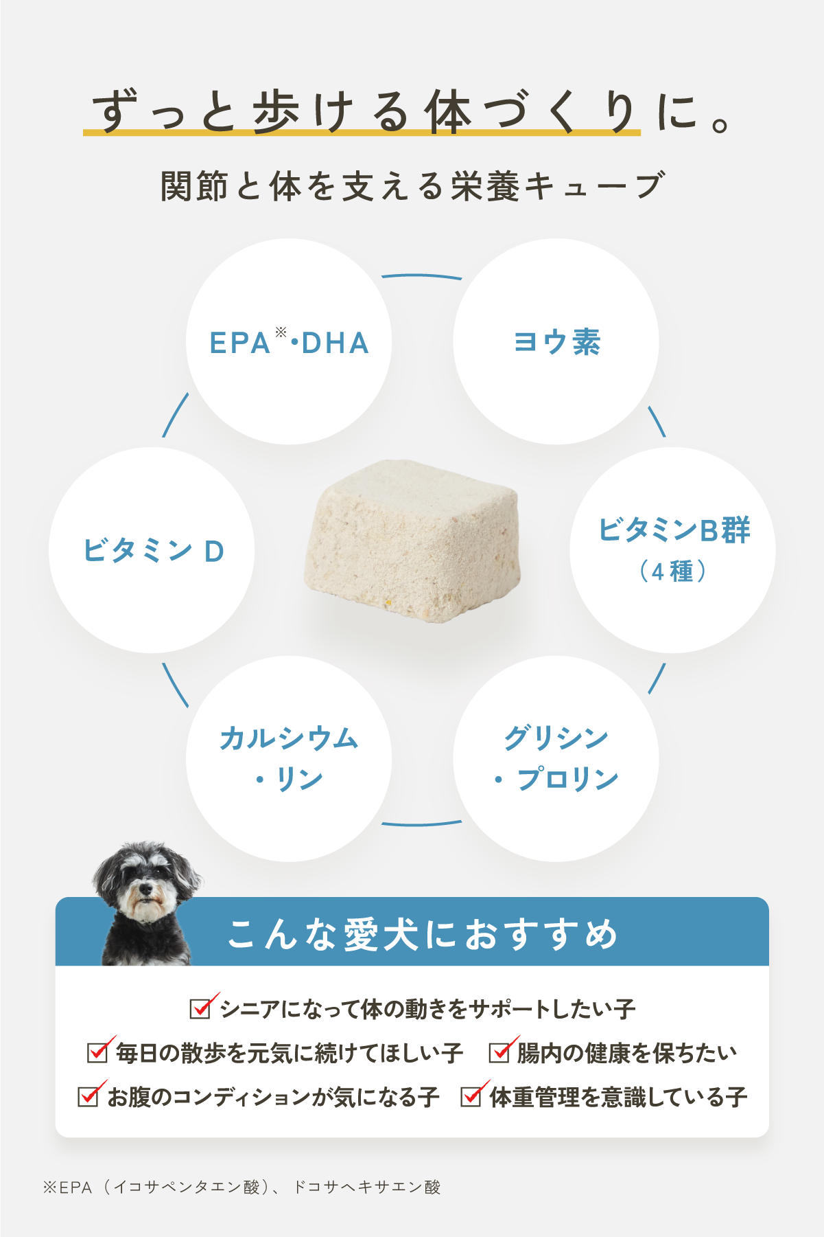 WanSoup WHITEY タラ味（愛犬の関節やダイエットに）｜Wan Soup（ワン