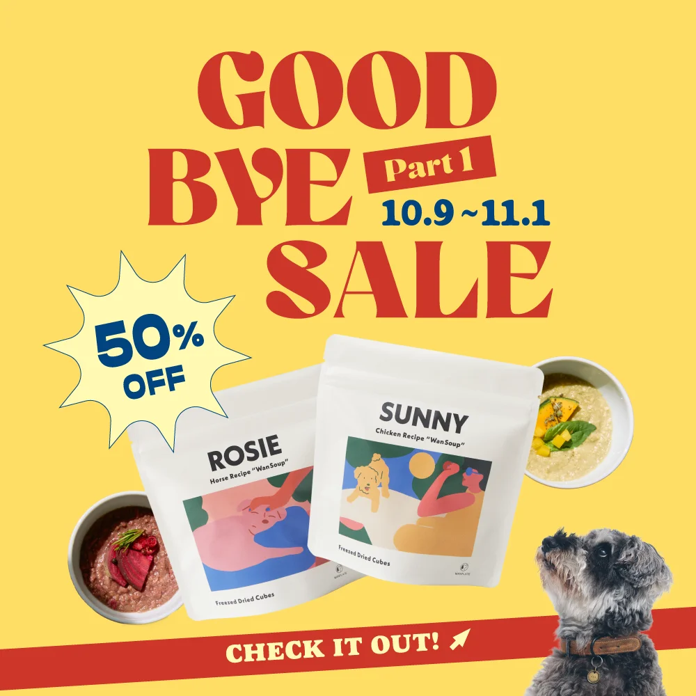 SUNNY・ROSIE GOOD BYE SALE 第一弾 通常価格の50%OFF 10月9日(金)〜11月1日(日)