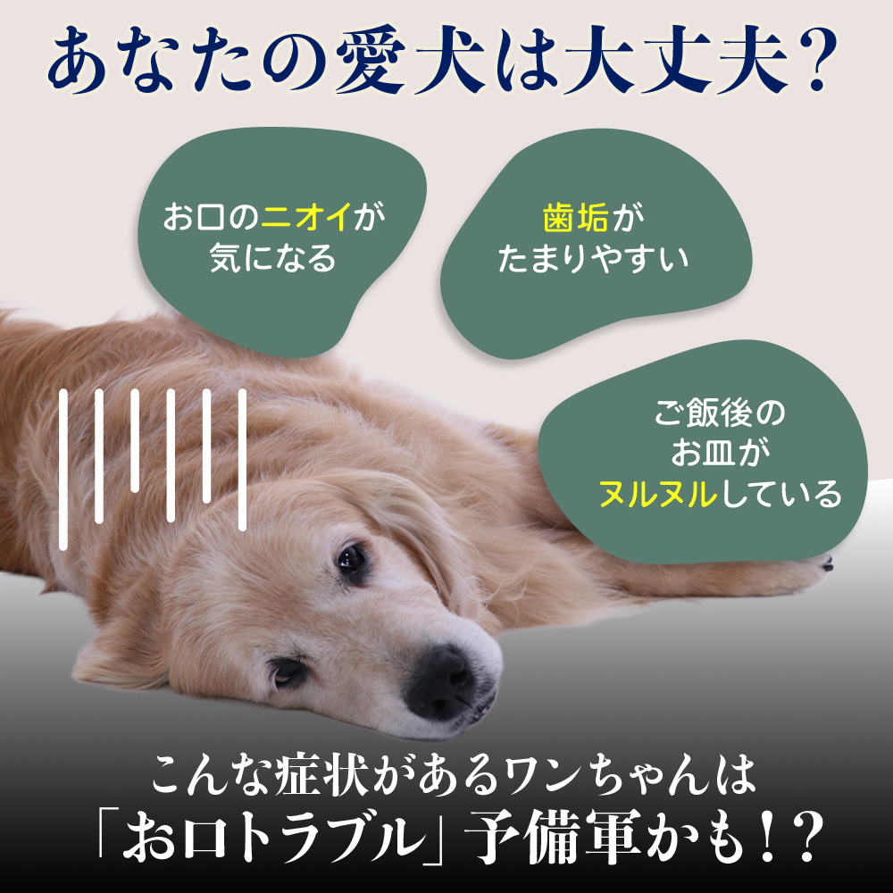 ハグキスマイル