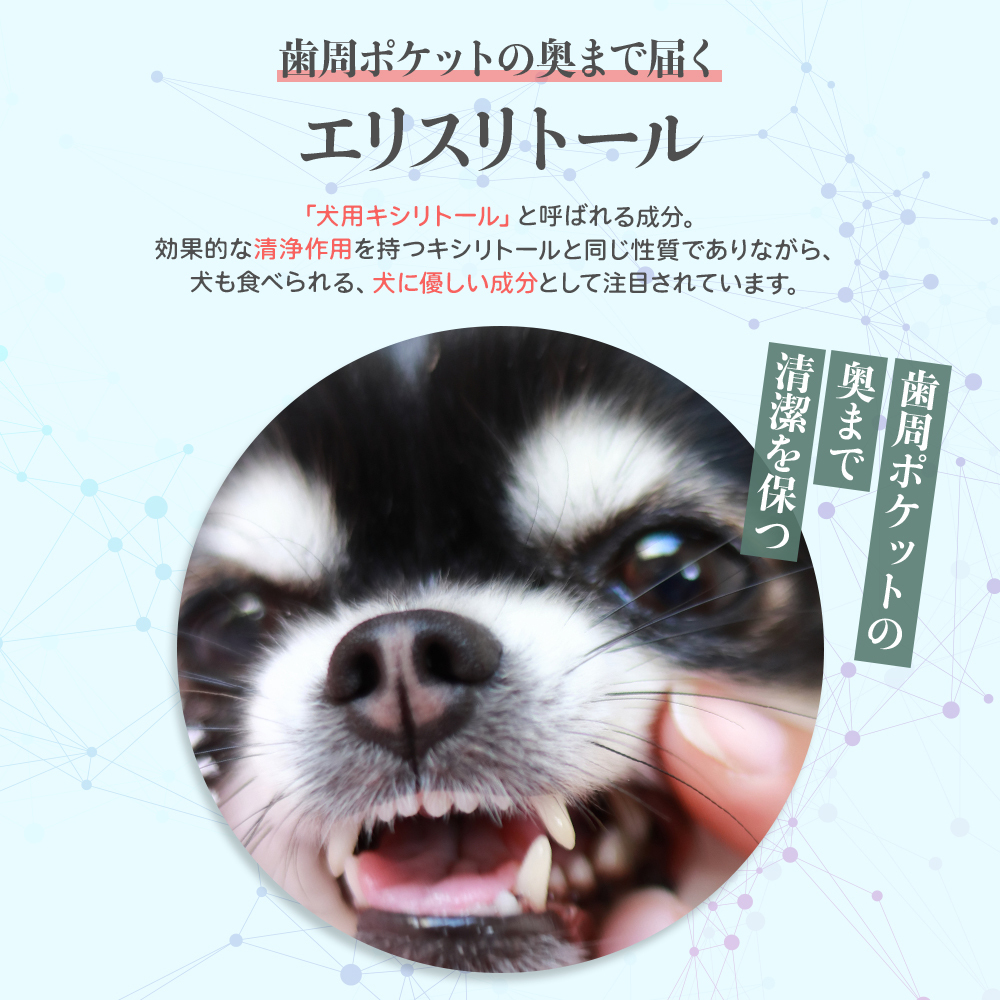 ハグキスマイル