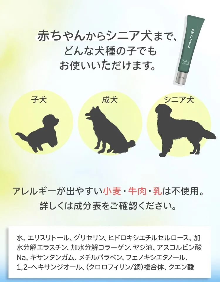 赤ちゃんからシニア犬まで、どんな犬種の子でもお使いいただけます。子犬成犬シニア犬 アレルギーが出やすい小麦・牛肉・乳は不使用。 詳しくは成分表をご確認ください。水、エリスリトール、グリセリン、ヒドロキシエチルセルロース、加水分解エラスチン、加水分解コラーゲン、ヤシ油、アスコルビン酸Na、キサンタンガム、メチルパラベン、フェノキシエタノール、1,2-ヘキサンジオール、(クロロフィリン/銅)複合体、クエン酸