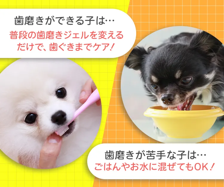 歯磨きができる子は…普段の歯磨きジェルを変えるだけで、歯ぐきまでケア！歯磨きが苦手な子は…ごはんやお水に混ぜてもOK！