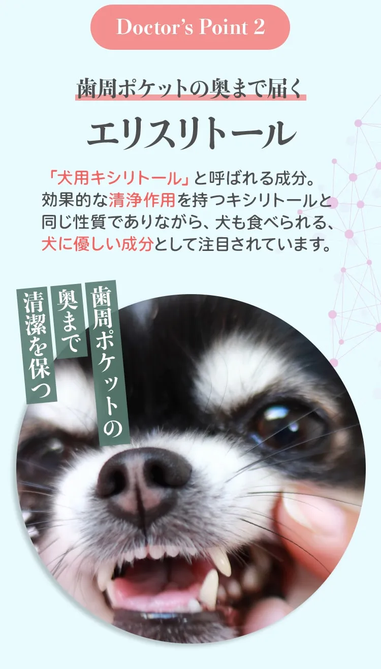 Doctor’s Point 2 歯周ポケットの奥まで届く エリスリトール「犬用キシリトール」と呼ばれる成分。効果的な清浄作用を持つキシリトールと同じ性質でありながら、犬も食べられる、犬に優しい成分として注目されています。