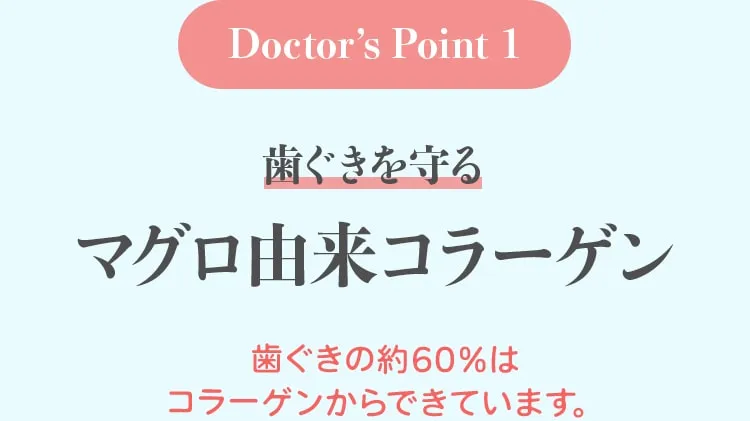 Doctor’s Point 1 歯ぐきを守る マグロ由来コラーゲン歯ぐきの約60％はコラーゲンからできています。