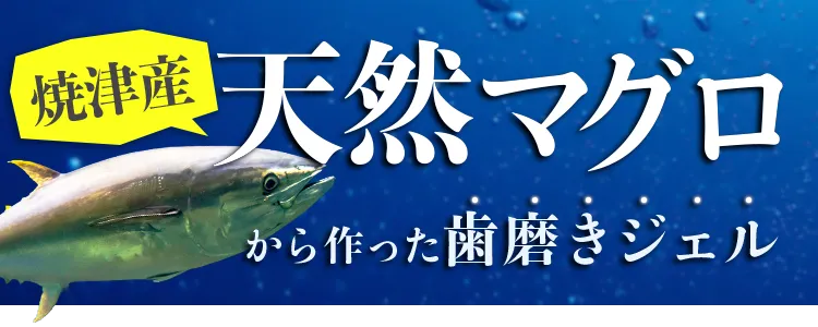 焼津産 天然マグロ から作った歯磨きジェル