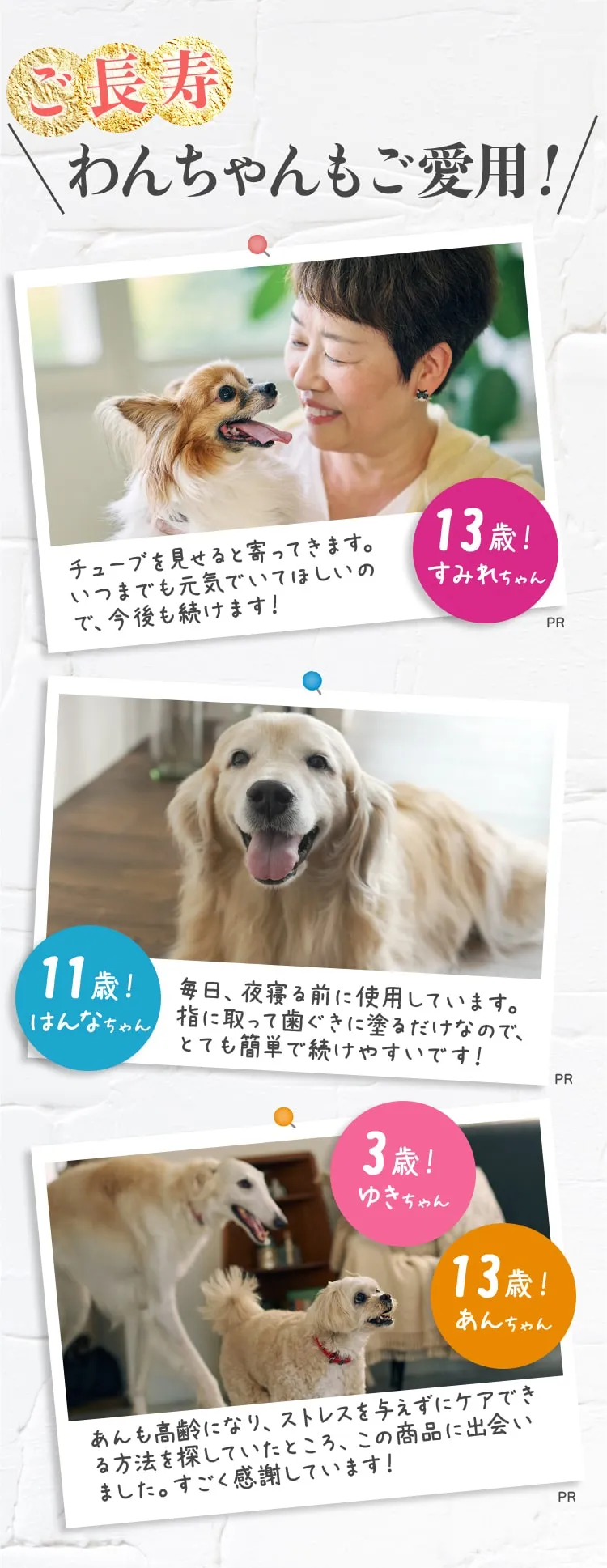 ご長寿 わんちゃんもご愛用！ チューブを見せると寄ってきます。いつまでも元気でいてほしいので、今後も続けます！ 13歳！すみれちゃん 11歳！はんなちゃん 毎日、夜寝る前に使用しています。指に取って歯ぐきに塗るだけなので、とても簡単で続けやすいです！ 3歳！ゆきちゃん 13歳！あんちゃん あんも高齢になり、ストレスを与えずにケアできる方法を探していたところ、この商品に出会いました。すごく感謝しています！