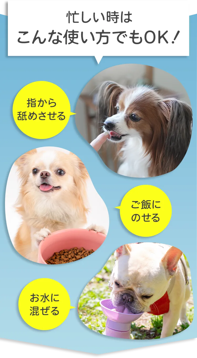 忙しい時はこんな使い方でもOK！ 指から舐めさせる ご飯にのせる お水に混ぜる