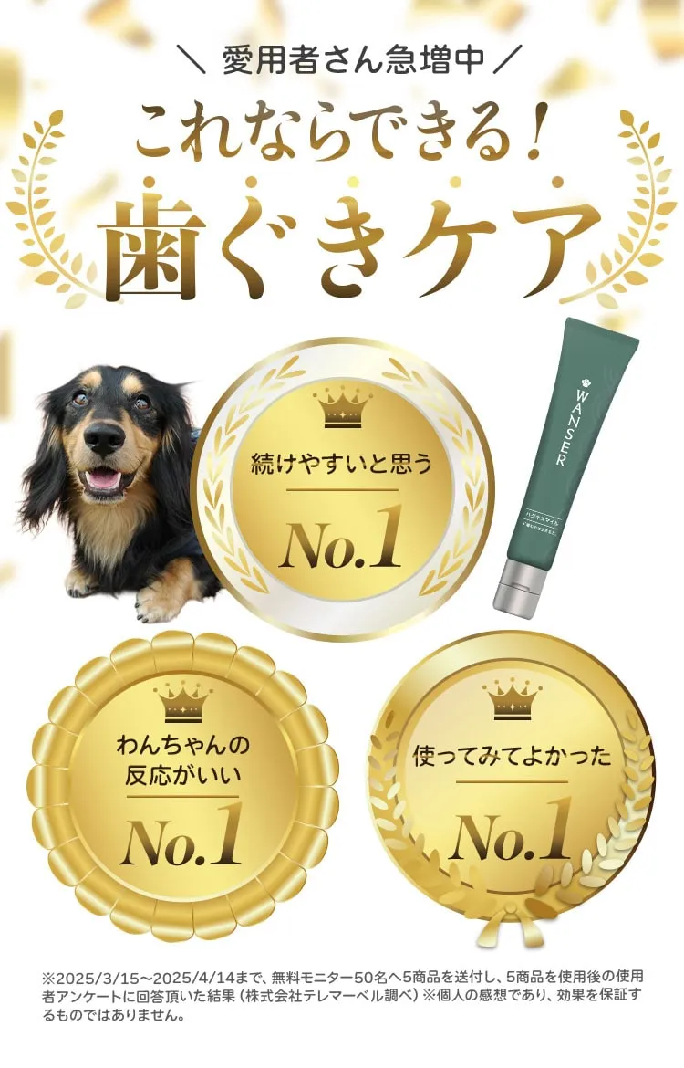 ＼ 愛用者さん急増中／ これならできる！歯ぐきケア 続けやすいと思う No.1 わんちゃんの反応がいい No.1 使ってみてよかった No.1
