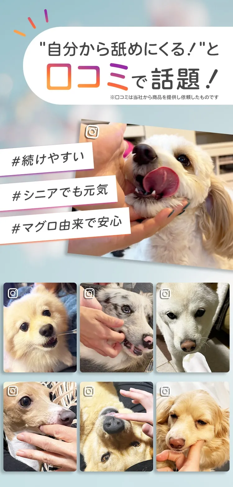 自分から舐めにくる！と口コミで話題！※口コミは当社から商品を提供し依頼したものです#続けやすい＃シニアでも元気＃マグロ由来で安心