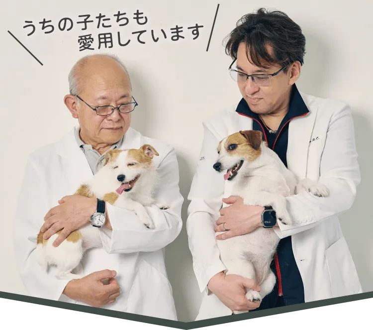 うちの子たちも 愛用しています