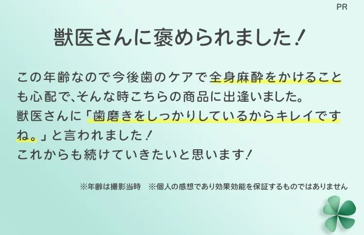 PR 獣医さんに褒められました！この年齢なので今後歯のケアで全身麻酔をかけることも心配で、そんな時こちらの商品に出逢いました。獣医さんに「歯磨きをしっかりしているからキレイですね。」と言われました！これからも続けていきたいと思います！※年齢は撮影当時※個人の感想であり効果効能を保証するものではありません