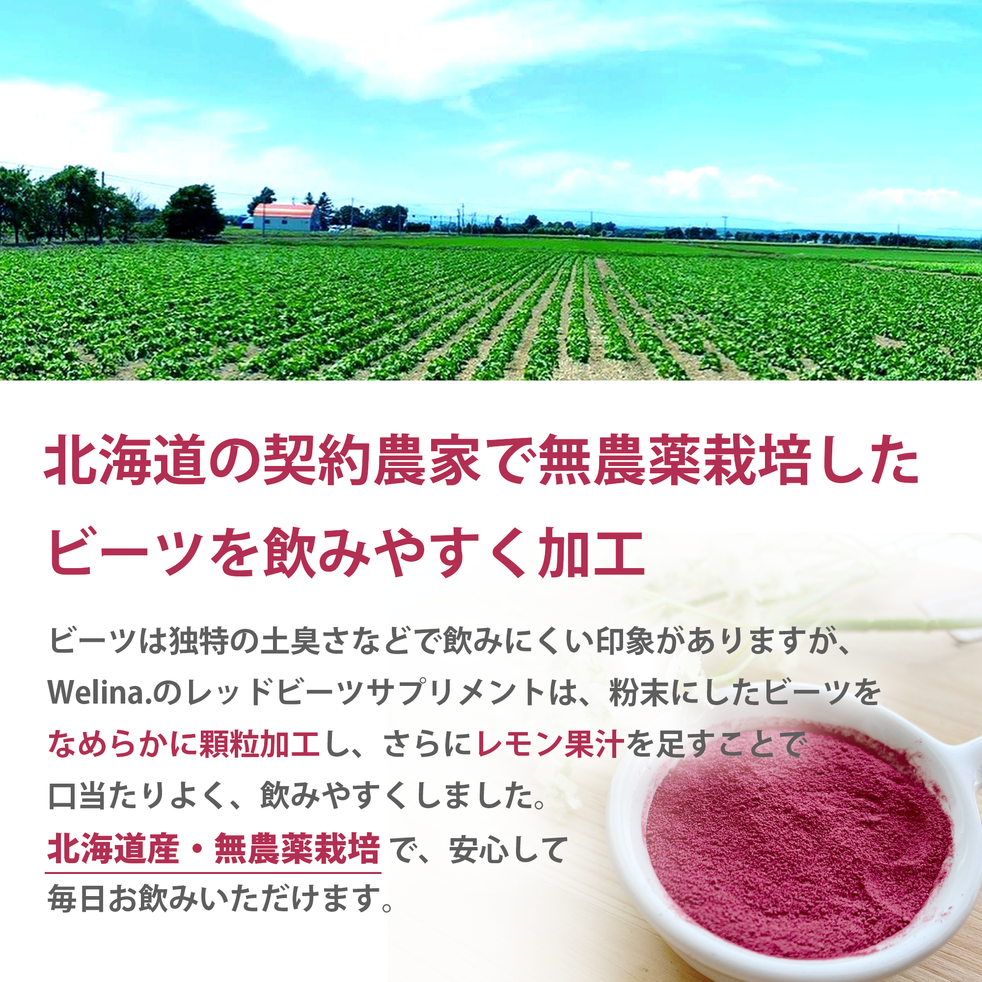 ［定期商品］Welina.レッドビーツ 2個セット