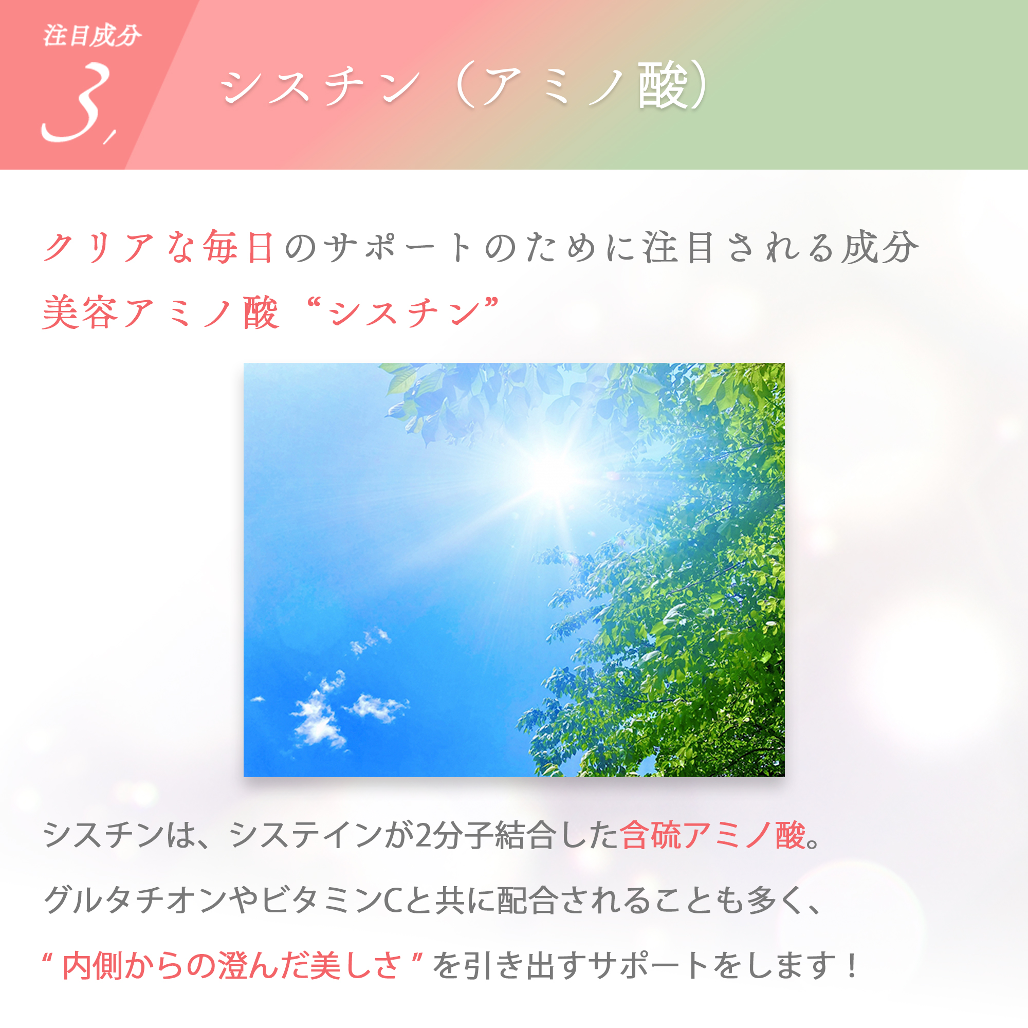 ［定期商品］Welina.EAA ホワイトビューティー＋