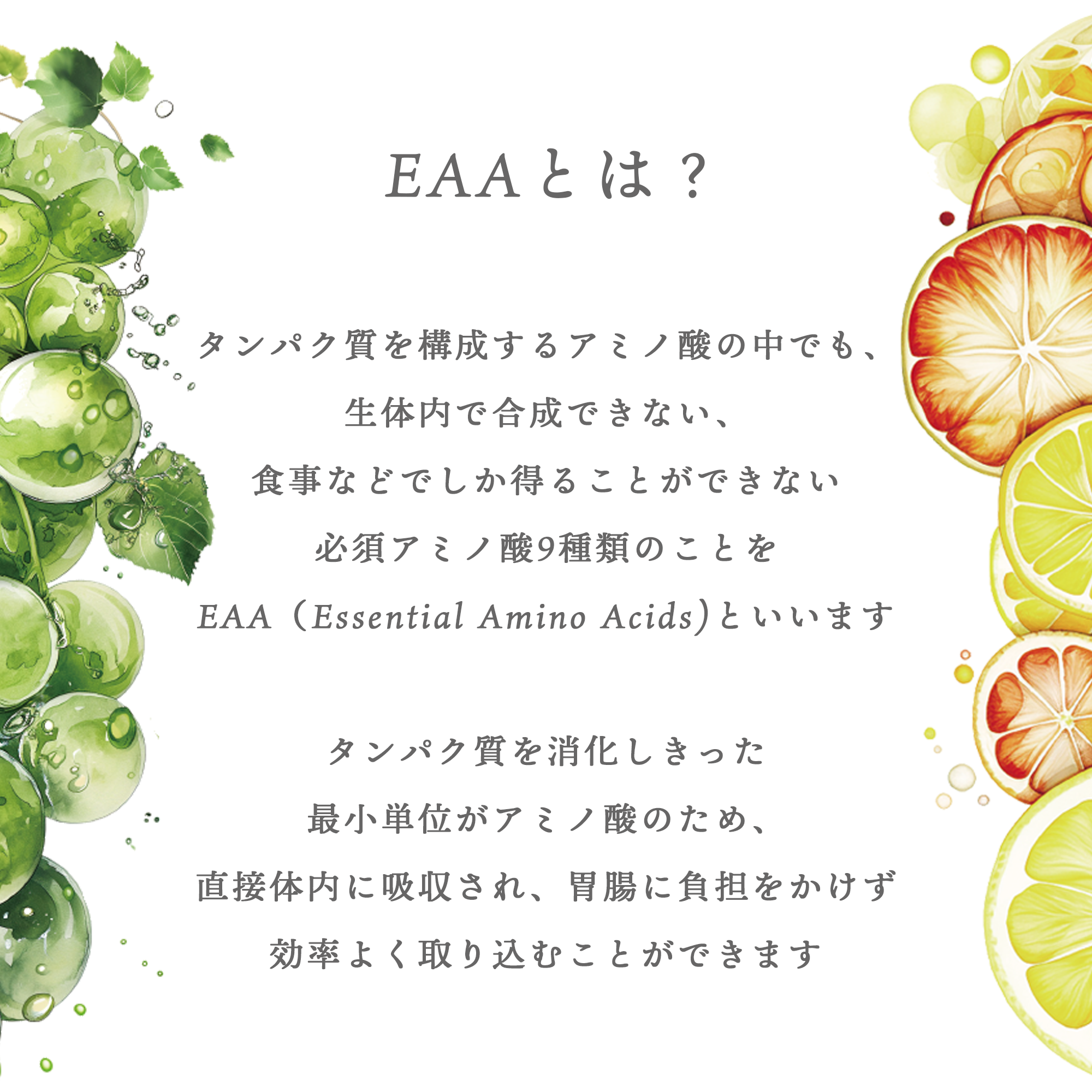 ［定期商品］Welina.EAA フレーバー: グレープフルーツ味&グレープフルーツ味