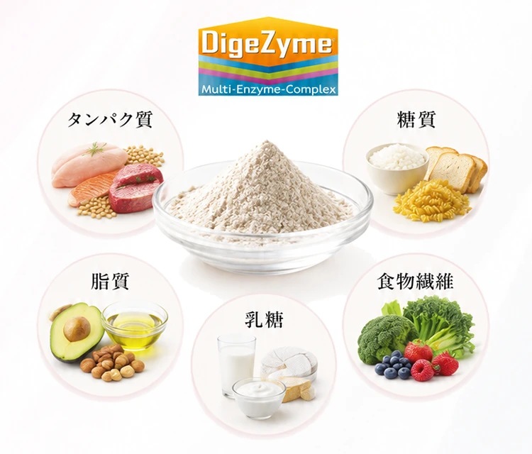 ダイジェザイムはタンパク質、糖質、脂質、食物繊維、乳糖に着目した複合酵素素材