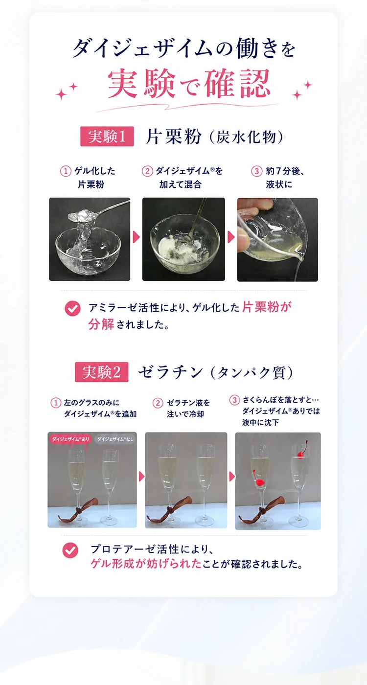 ダイジェザイムの働きを片栗粉とゼラチンを用いた実験で確認