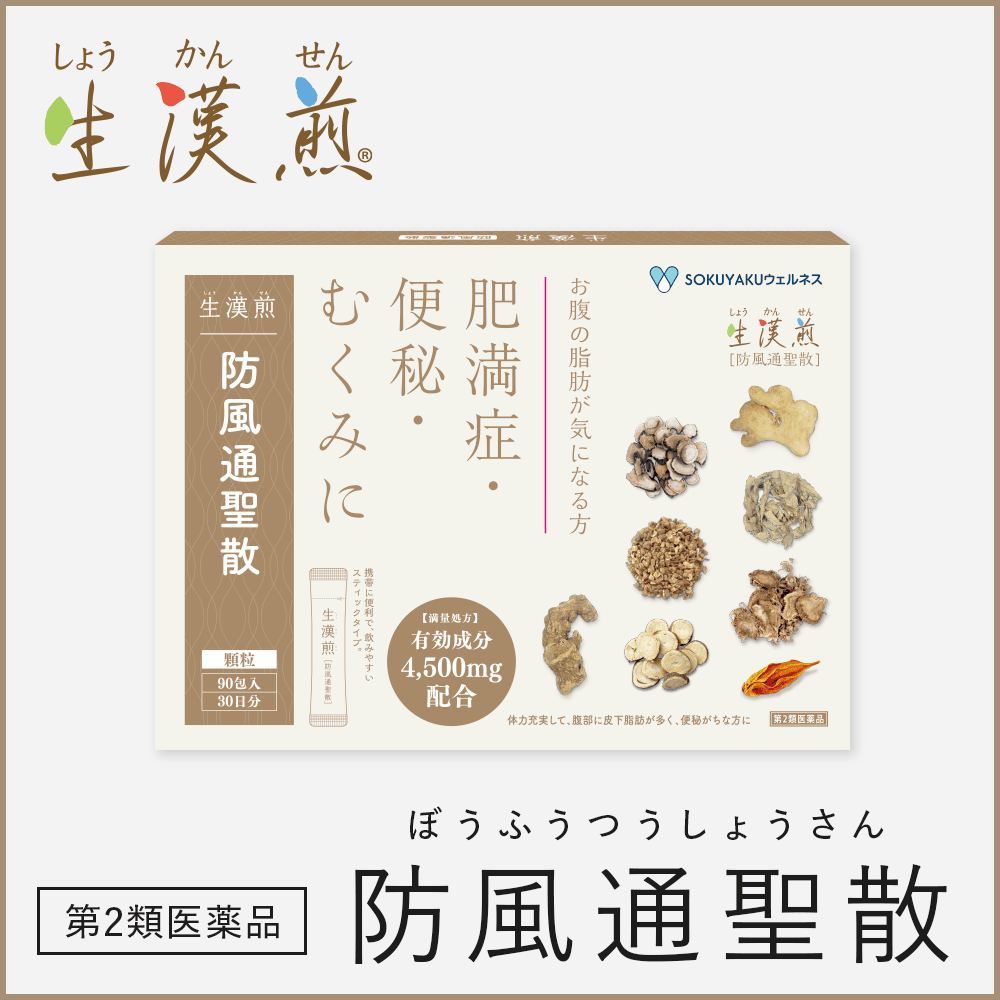 生漢煎 防風通聖散 ■セルフメディケーション対象