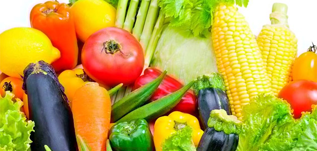 食物繊維が多い食べ物・食品ランキング TOP100