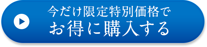 今だけお得に注文する！