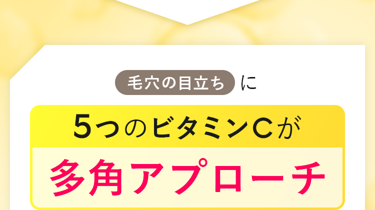 5つのビタミンCが多角アプローチ